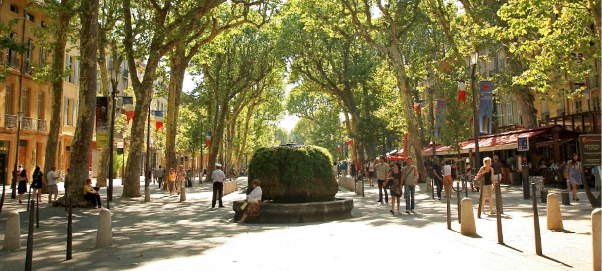 A wide, cobblestone street surrounded by tall green trees
