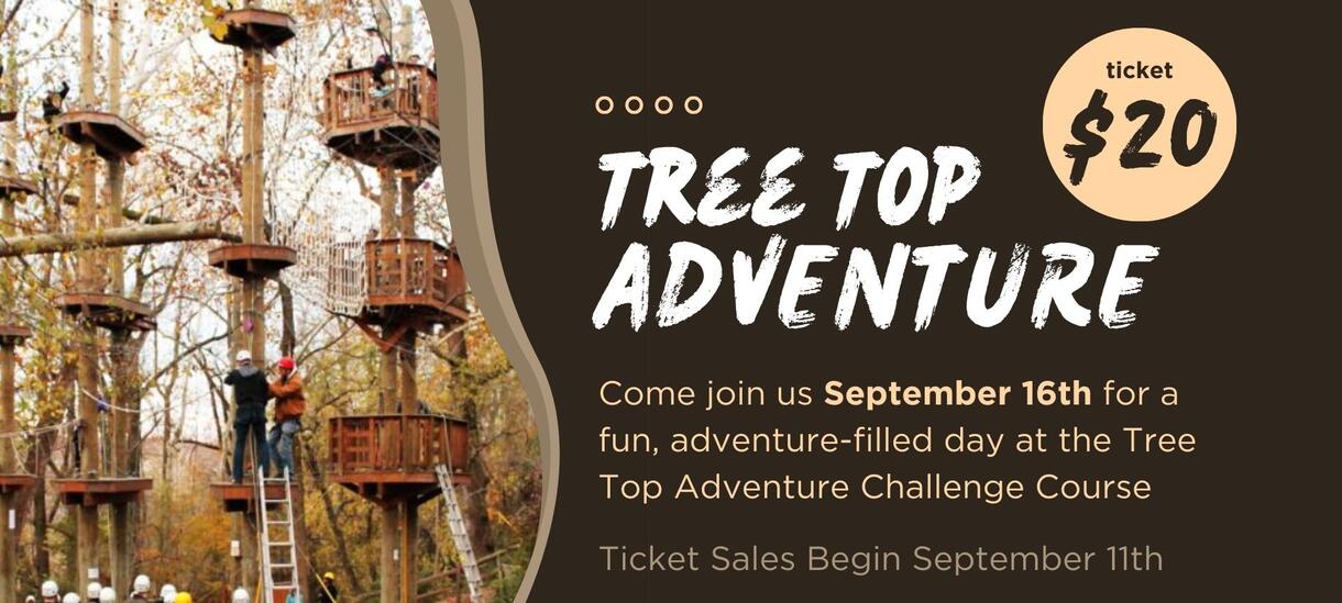 Tree Top Adventure