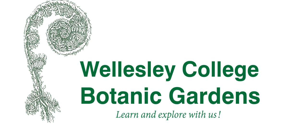 Wellesley College Botanic Gardens- Learn and Explore with us! green text with logo of fern fiddlehead