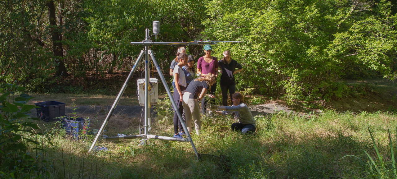 Prof. Jaclyn Hatala Matthes and students work with a tripod tower in the arboretum