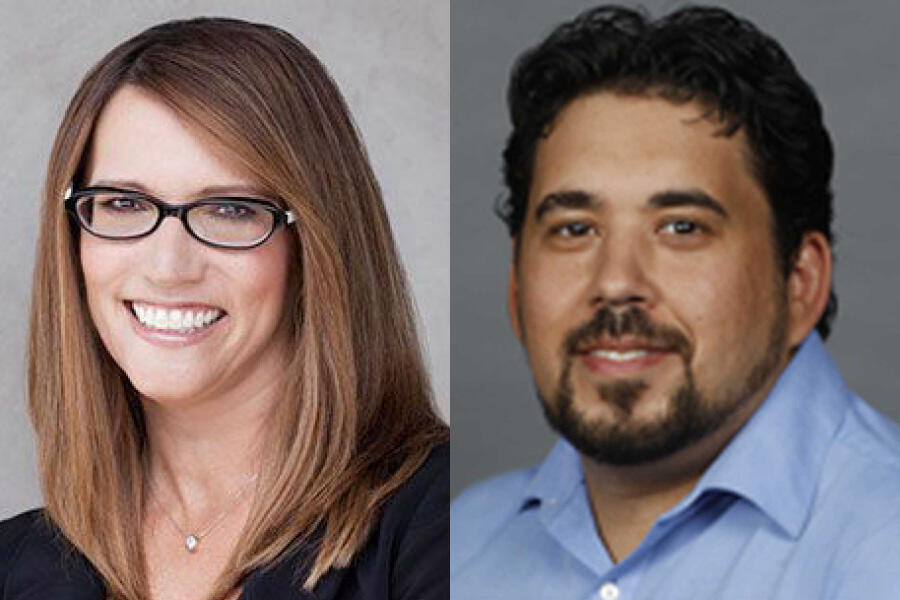 Lynn Vavreck and Michel Tesler