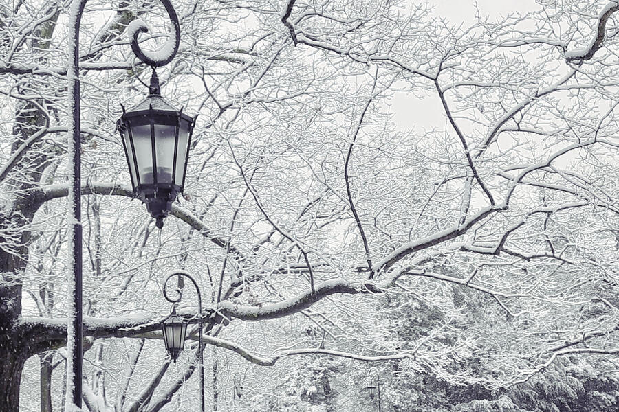 Snowy campus scene, Wellesley lamp in the foreground