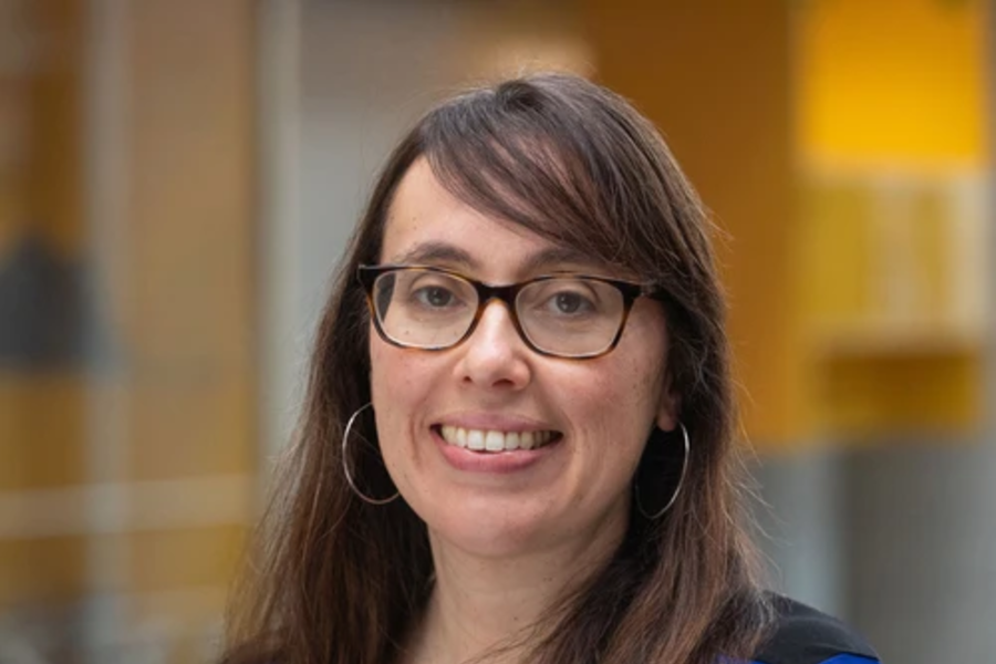 Image of Professor Petra Rivera-Rideau