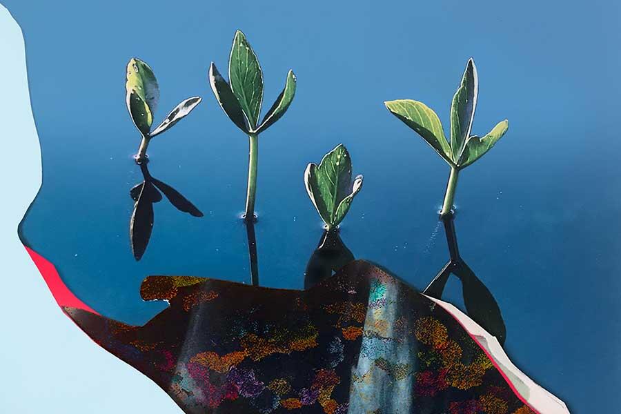 drawing of green plants growing against blue sky