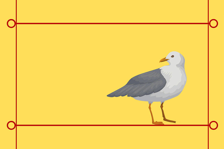 illustration of a seagull against a yellow background