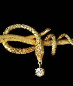 Serpent Pin, circa 1860. Designer unknown. Photo by John Bigelow Taylor