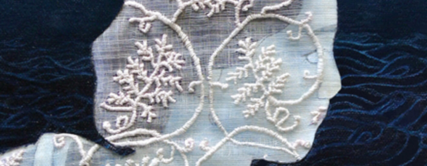 Cover of Beauty Regimes.