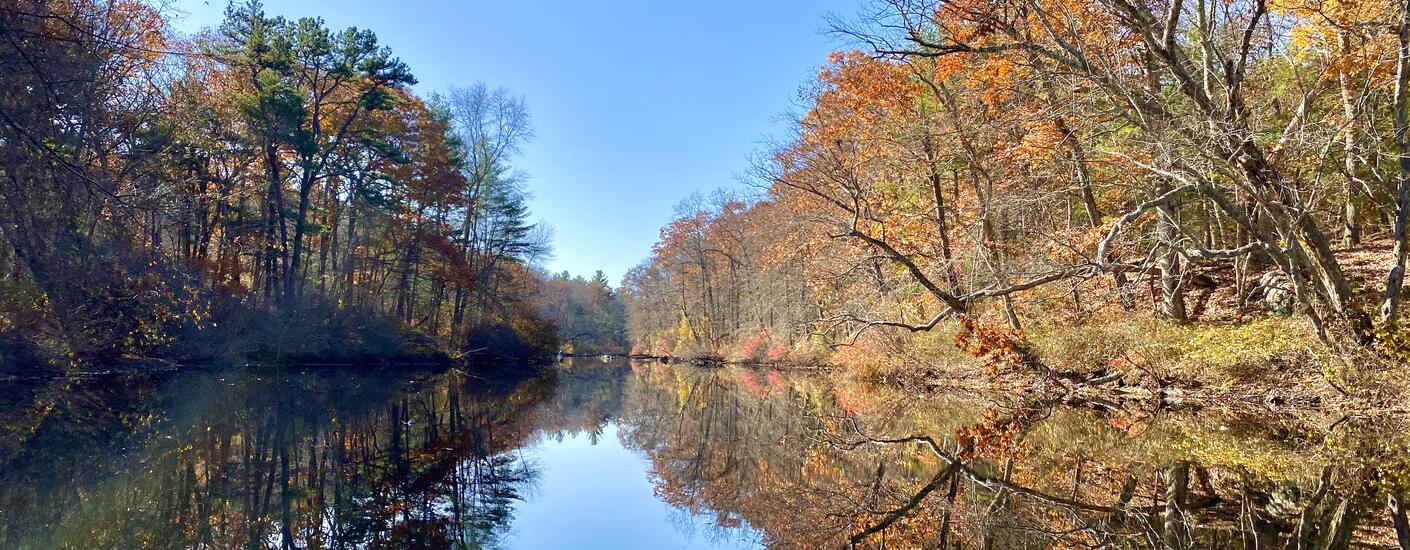 Quinobequin (Charles River) in Natick, Massachusetts