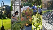 Five photo panels depicting sustainability initiatives at Wellesley.