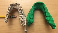 A 3D printout of a Homo naledi fossil sits next to a cast of a Homo habilis jaw.