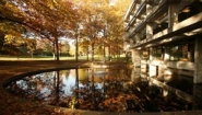 Clapp library exterior with pool in golden autumn light