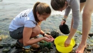 Kate Corcoran and fellow student collect water samples on shore
