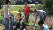 ES103 students working the farm in a box outdoors