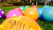 close-up of multicolored balls on green grass, sunny day