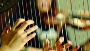 closeup of hands on harp