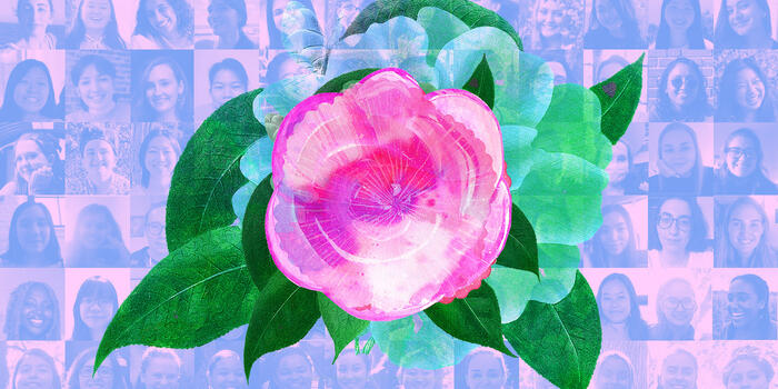 pink camellia flower over a collage of headshots