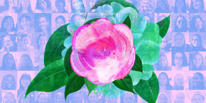 pink camellia flower over a collage of headshots