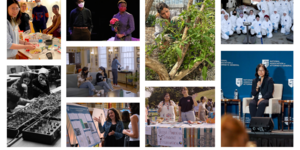 A grid of photos from 2023 stories.