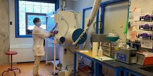 Rebecca Belisle working in her lab