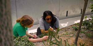 Two students work with plants in Global Flora.