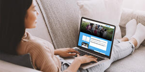 image of a person sitting on a couch looking at their laptop