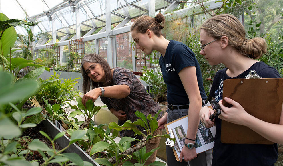 The botanic gardens director works with students in global flora. They are holding notebooks.