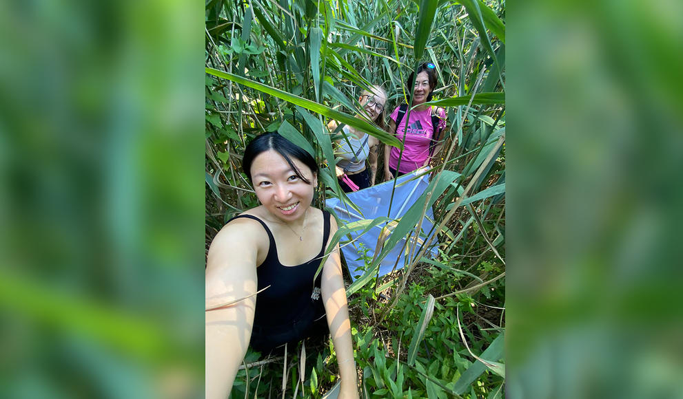 Two students and a professor pose for a photos in a stand of phragmites reeds.