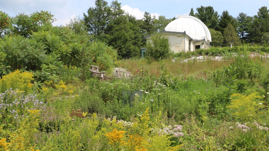 Edible Ecosystem Teaching Garden at Wellesley College (August 2018)