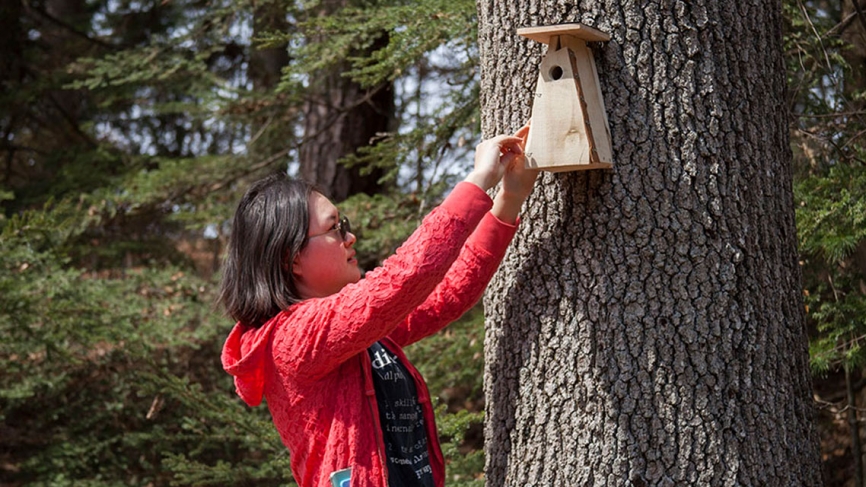 A student places a wooden birdhouse on a campus tree.