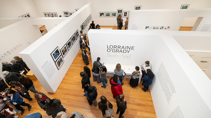 A photo from above of people walking through an exhibit at the Davis Museum.
