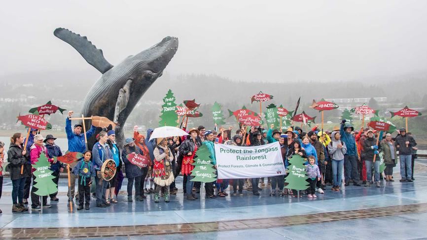 people protesting against deforestation of Tongass