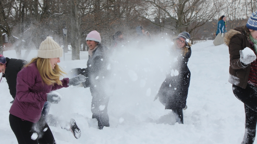 Snowball fights, 2013