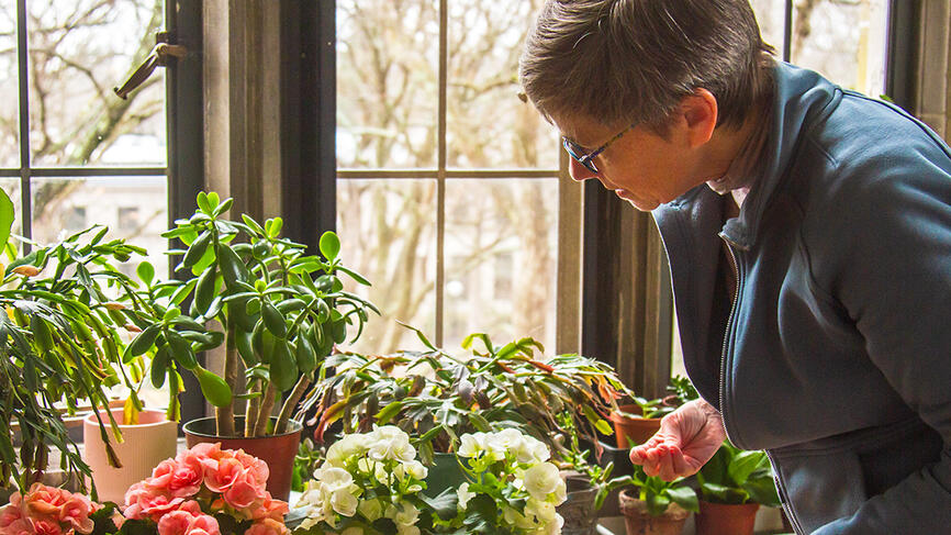 A professor looks at her plants