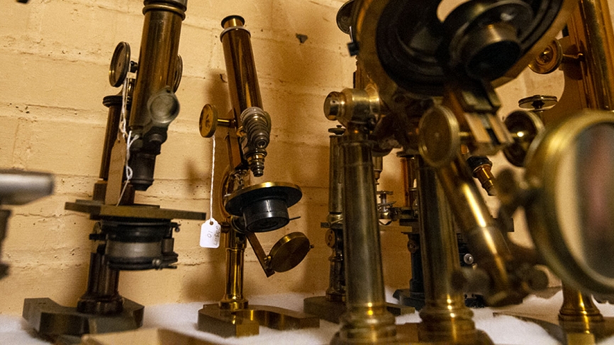A tight shot of four microscopes on a shelf.