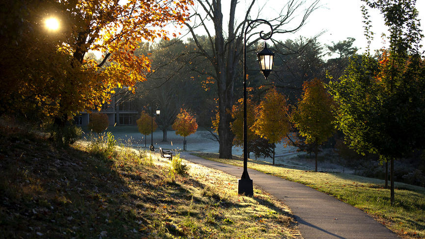 Sunlight peaks between branches, highlighting trees in the foreground and Wellesley lantern.