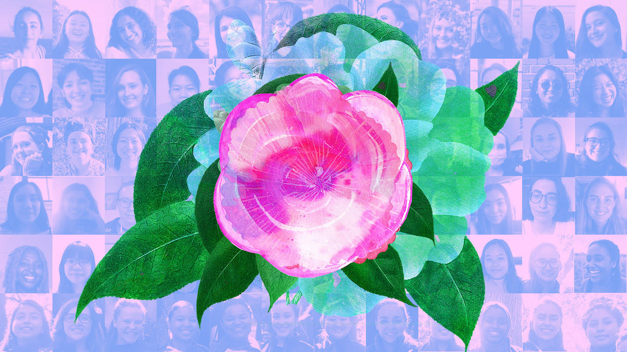 pink camellia flower over a collage of headshots