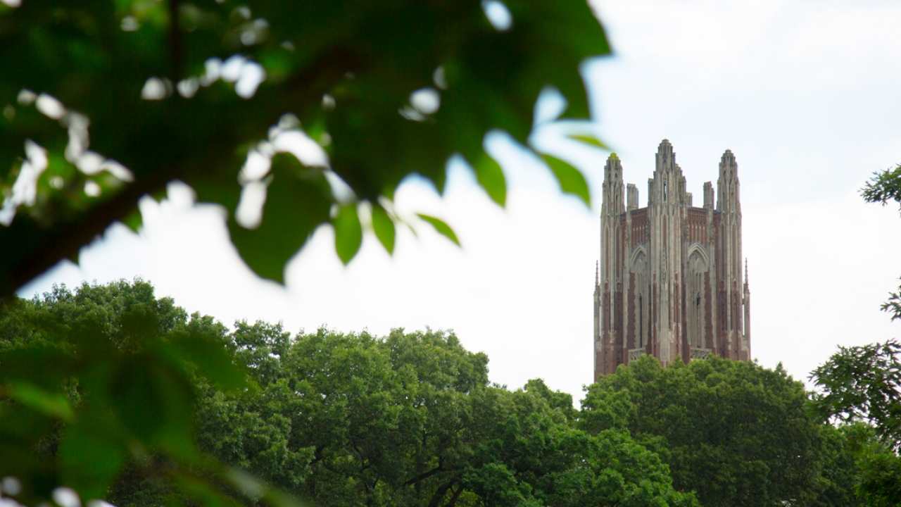 Galen Stone Tower as seen from Severance Hill and framed by green foliage.