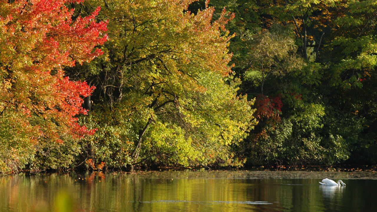 landscape shot of wellesley
