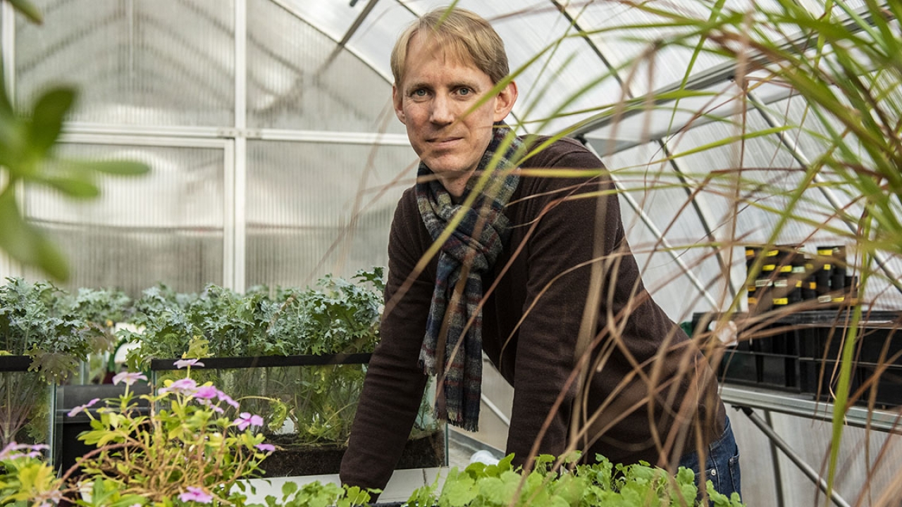 A male professor stands in a greenhouse