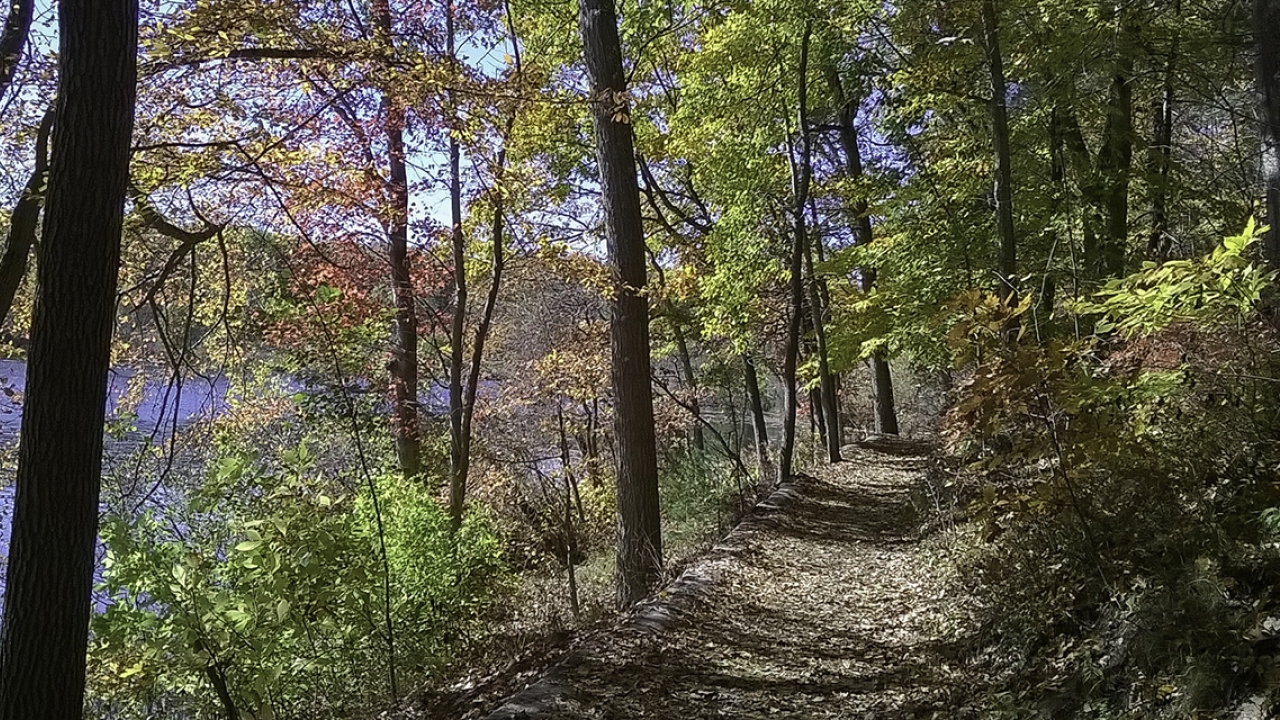 a path by lake waban