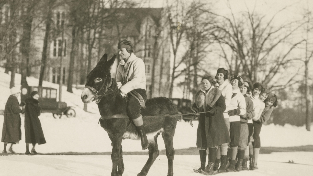 A student on a donkey pulls a group of students on skis at Wellesley College