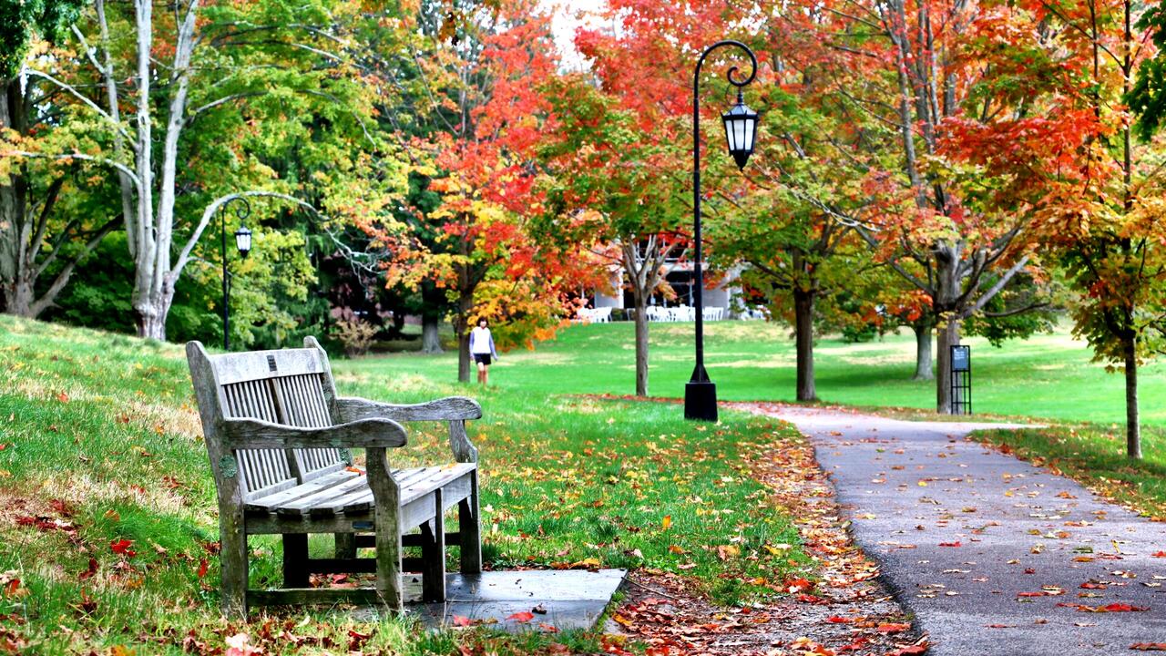 The Start of Fall Foliage