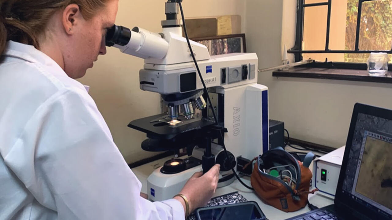 A student (Georgia Oppenheimer) looking in a microscope to analyze sample.