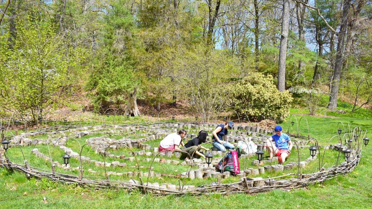 Students work to spruce up the labyrinth on campus.