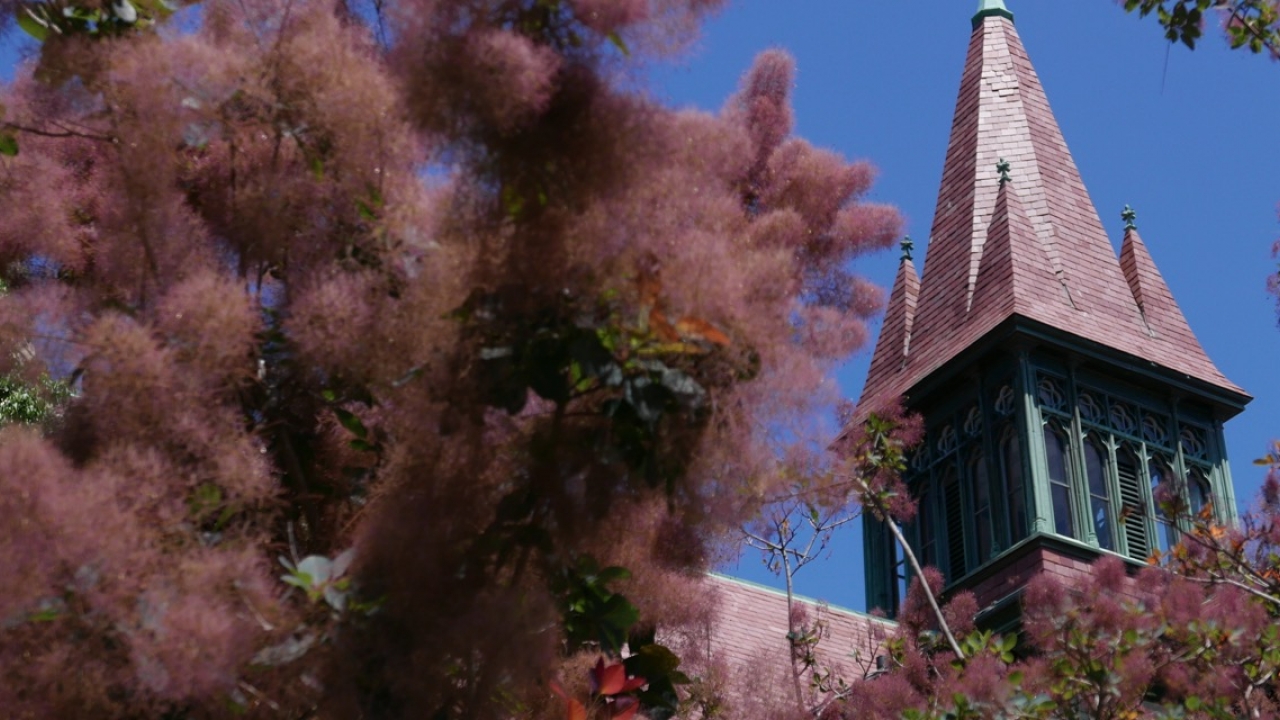 An image of the purple roof of Houghton Chapel, framed by a purple plant.