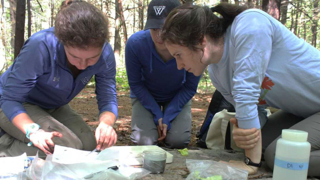 Wellesley student Eva Paradiso ’20