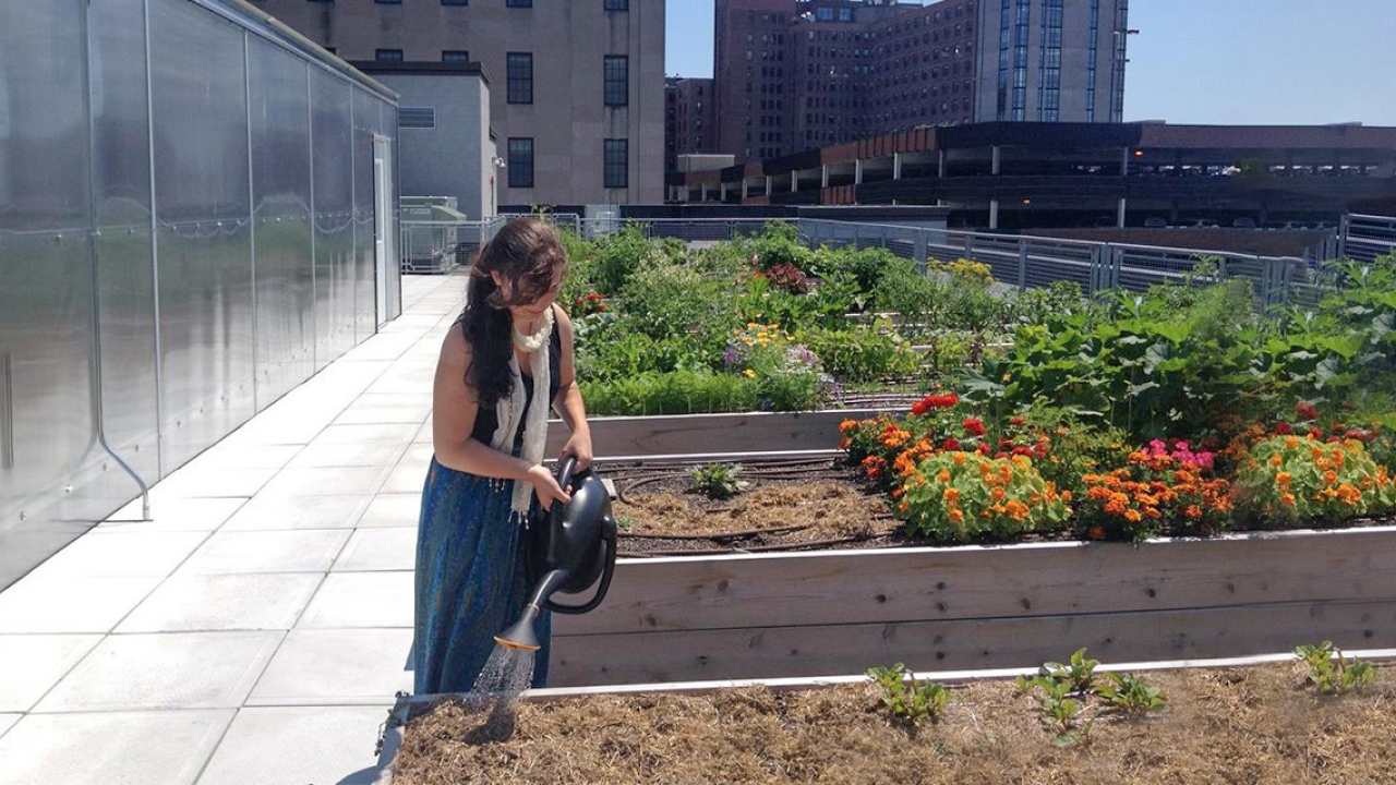 A young woman works in a rooftop garden