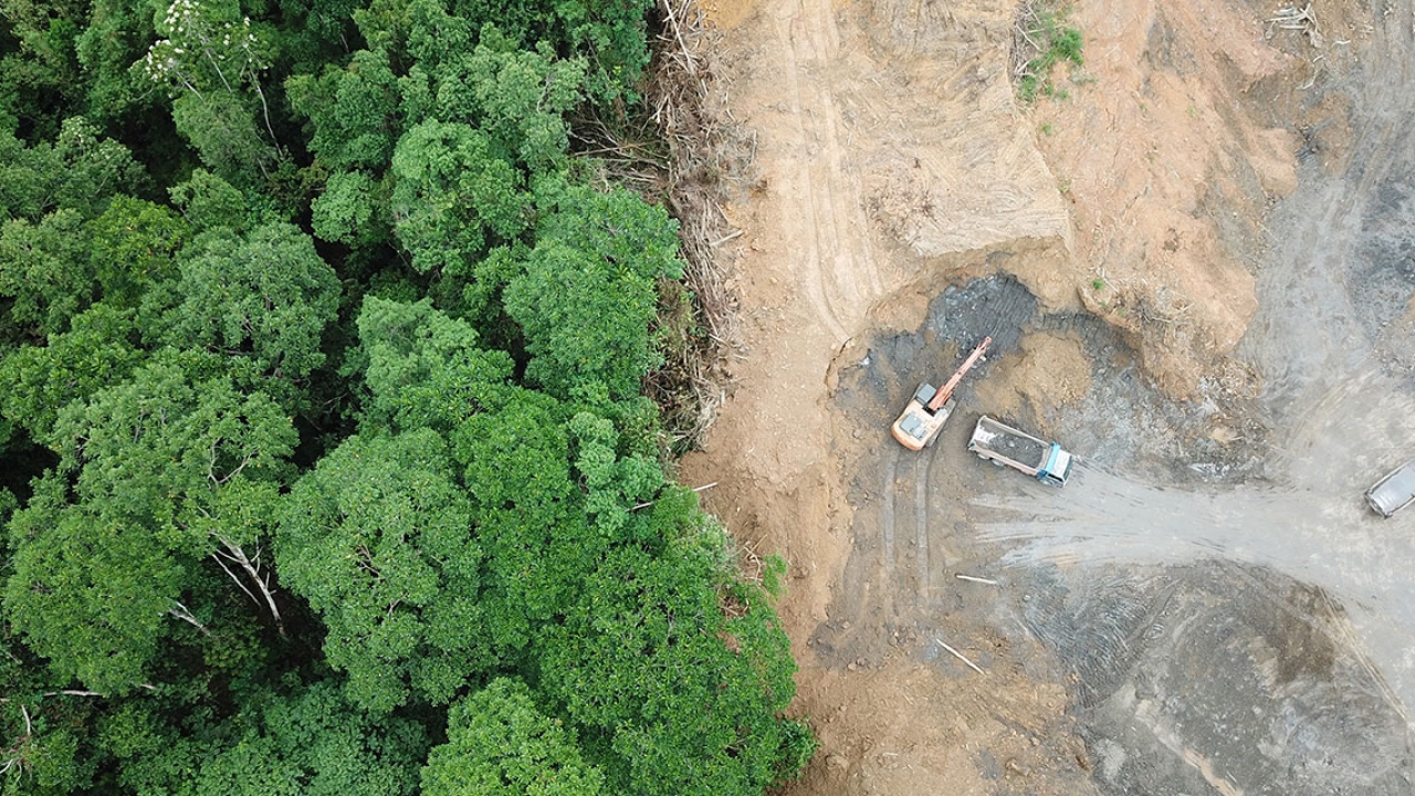 An arial shot of a forrest and land that has been cleared.