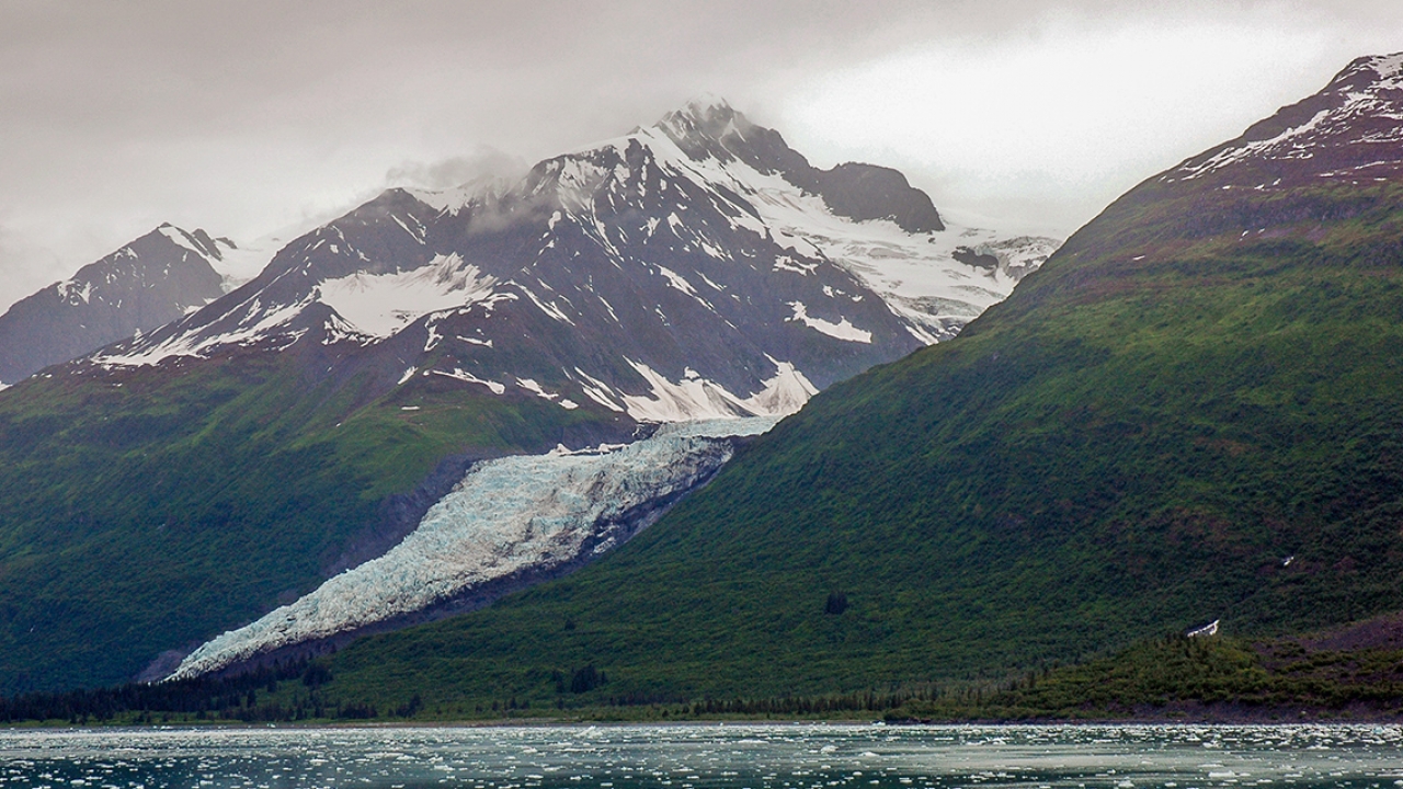 Wellesley Glacier 