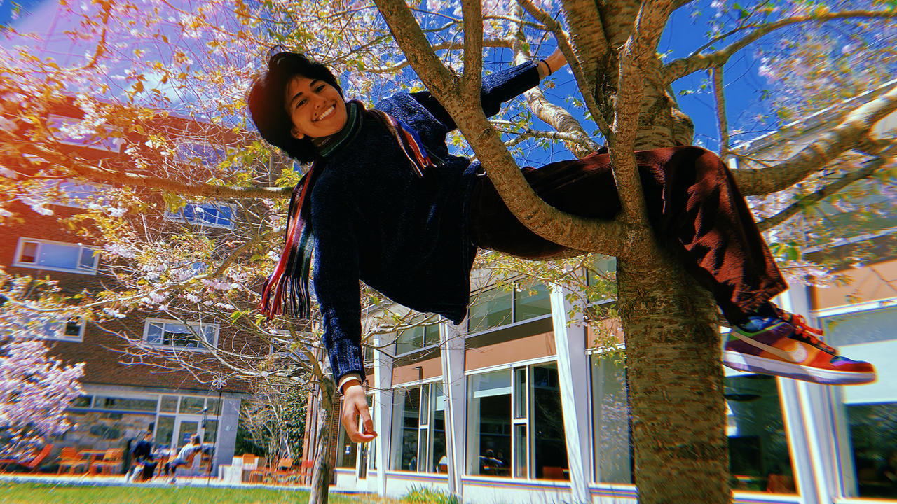 A student sits in the base of a tree with one hand grasping a branch and the other dangling behind her. She smiles at the camera